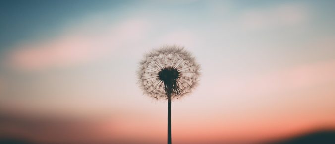 Anxiety Treatment