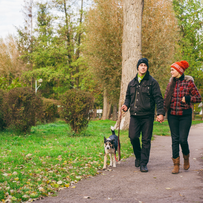 Couple enjoying a walk in the park with their dog. 