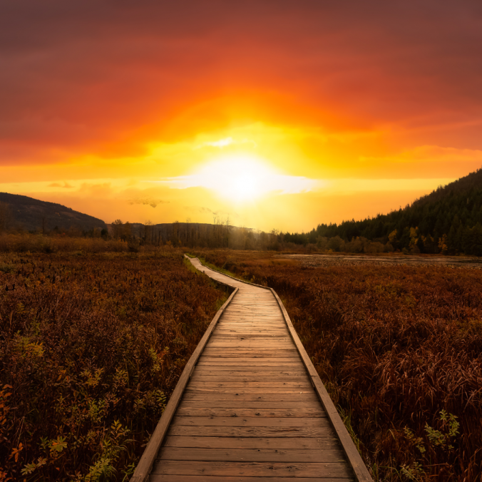 A peaceful and serene walkway leading into a vibrant sunset bathing a lush meadow, symbolizing the journey towards reclaiming balance and holistic mental well-being after the holiday season.